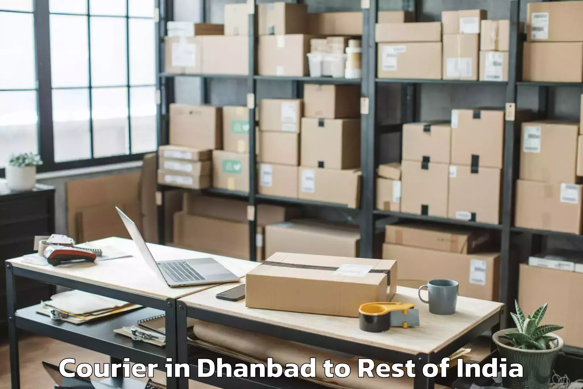 Easy Dhanbad to Alampur P Courier Booking